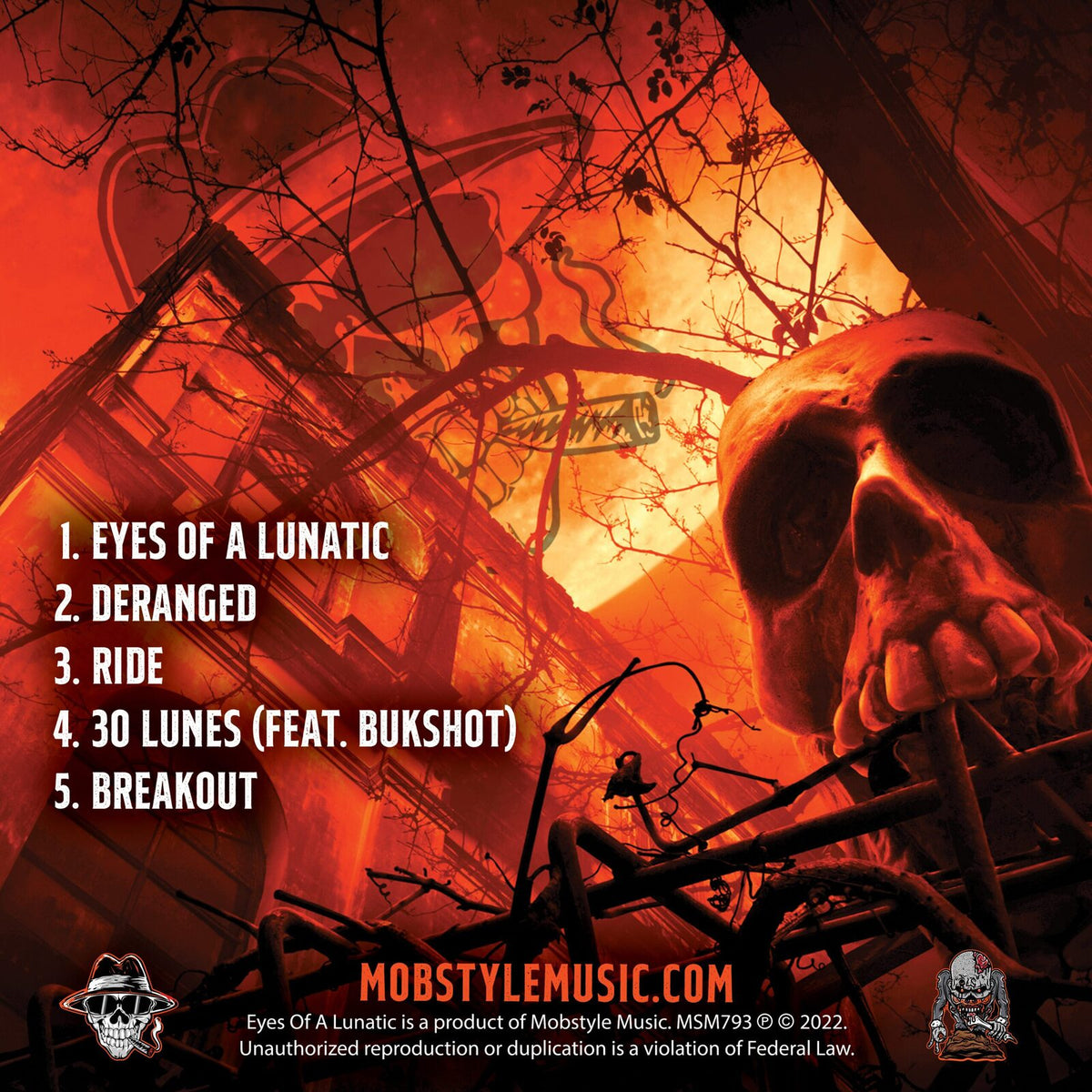 Eyes_Of_A_Lunatic_Back_Cover_12x12_v1