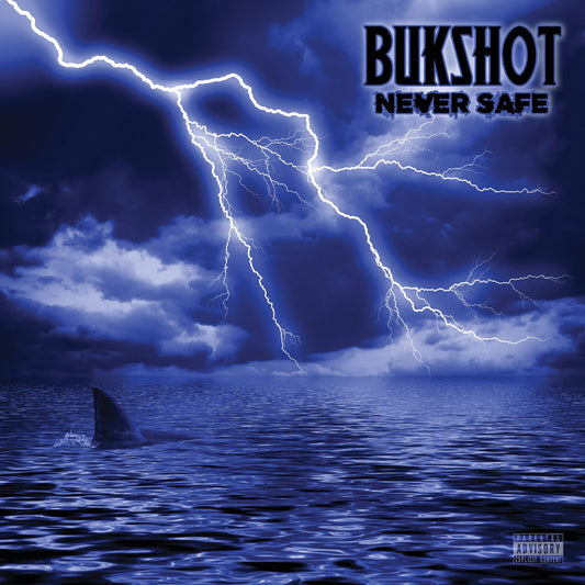 Never Safe Album Cover
